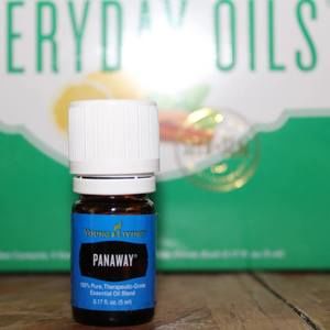 Meet your Posher, Marlene